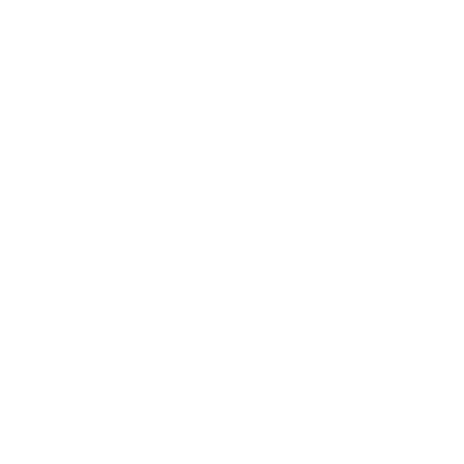 Camera holder